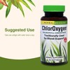 Herbs Etc. ChlorOxygen Chlorophyll Concentrate - Aids Healthy Blood Circulation