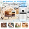 Tailulu 2 Pack D10 Replacement Filter, Air Purifier Filter for