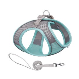 Arnés para Perros Pequeños y Medianos, sin Tirones, Juego de Arnés y Correa para Cachorros, Adecuado para Caminar Correr Entrenar Arnés para Perros Pequeños Arnés para Perros Medianos (Verde Claro, S)
