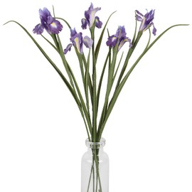 INSUNSIX Iris Artificial Flowers Dark Purple 5 Pcs Faux Iris Decor 26.8” Silk Irises Flowers with Stems for Living Room Balcony Home Bathroom Kitchen Table Vase Arrangement(Dark Purple