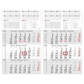 3 Month Calendar 2025 Wall Calendar with Slider - "INFO" Calendar 2025 Wall Calendar 30 x 50 cm Large - Office Calendar | with School Holidays, Holidays & Annual Overview (2 Pieces) Information 3