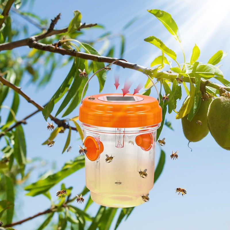 3 Pieces Carpenter Bee Cage, Wasp Outdoor Hanging with Solar