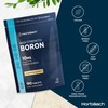 Boron 10mg | High Strength Boron Supplement | 180 Vegan