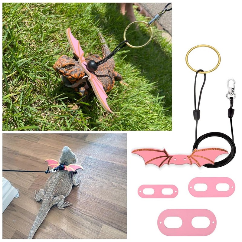 CoguZed Bearded Dragon Leash and Harness Set, Adjustable Lizard Harness