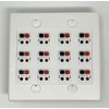 RiteAV 12 Port Speaker Jack Dual Gang Wall Plate for