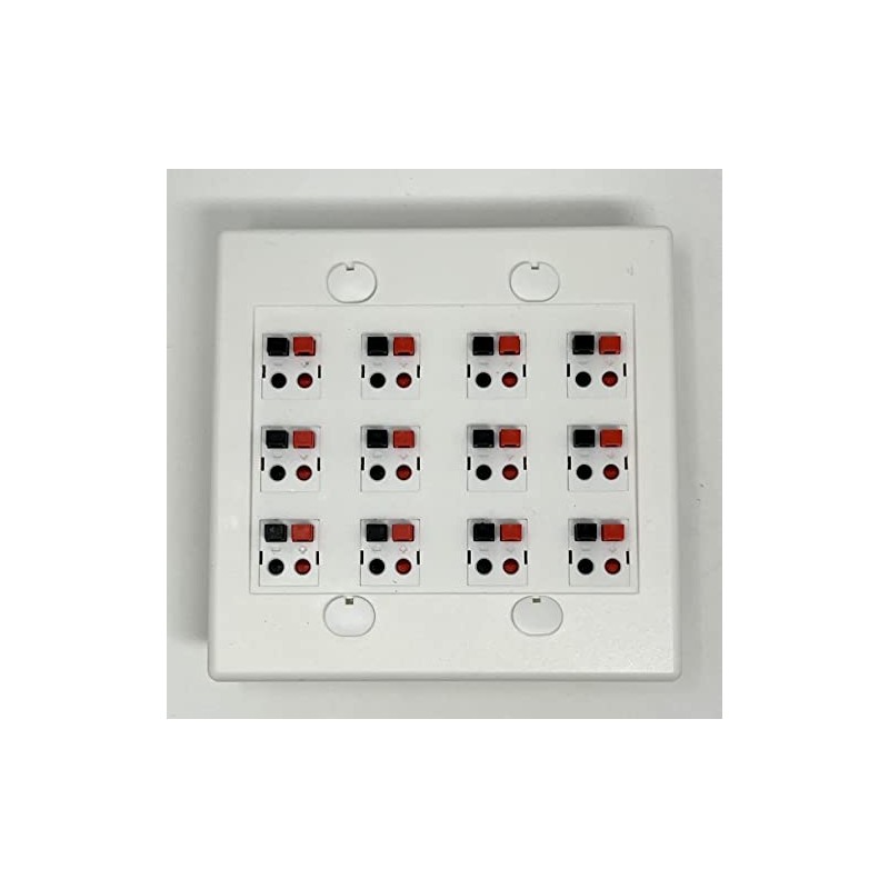 RiteAV 12 Port Speaker Jack Dual Gang Wall Plate for
