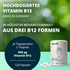 Brandl® Vitamin B12 High Dose Vegan & Bottled in DE