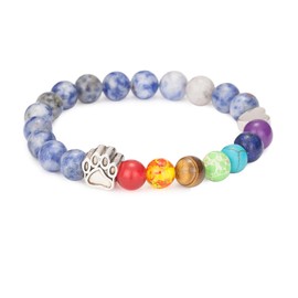 INPLUSTOP Pet Memorial Gifts for Dogs, Rainbow Bridge Bracelet for Dog Cat, Pet Sympathy Gift, 8MM Mixed Color Bead 7 Chakra Pet Memorial Bracelet for Women Men Who Loss of Pets, Dog Remembrance Gift