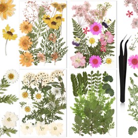Pressed Flowers Bulk Dried Flower for Resin Mold,Dried Flower Leave Natural with Tweezer for Crafts Scrapbooking DIY(Fresh Style)