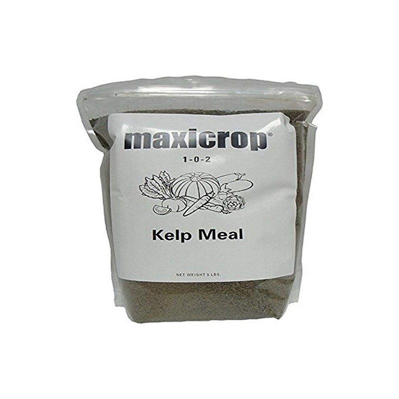 Maxicrop 5000 Kelp Meal, 5-Pounds