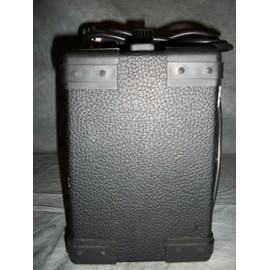 Washburn Bad Dog 8 Watt Amp