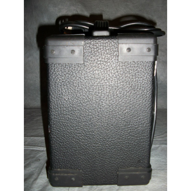 Washburn Bad Dog 8 Watt Amp