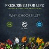 Prescribed for Life Stevia - 4:1 Natural Leaf Fine Powder