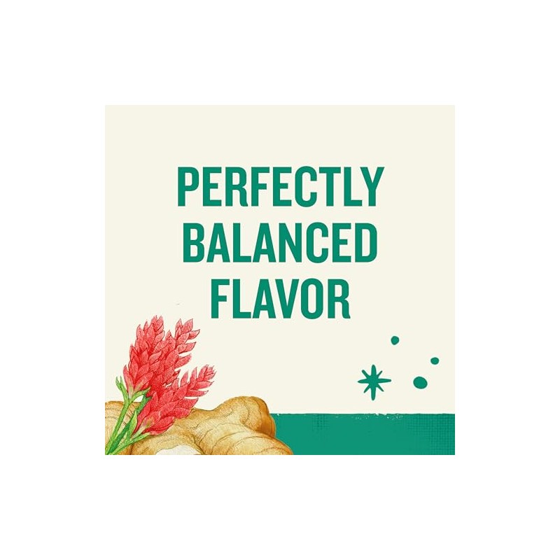 Celestial Seasonings Paquete Variado Everyday Wellness Cafeína Caja Bolsas