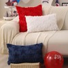 DFXSZ 4th of July Pillow Covers 12x20 inch 4th of