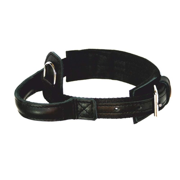 Dingo Gear Heros S04012 Dog Collar Made of Ribbon Size