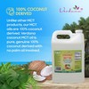 Verdana MCT Oil, Fractionated, 100% from Coconut - 1 Gallon