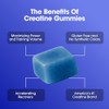 Optimum Nutrition Creatine Monohydrate Gummies, Blue Raspberry Flavor, 105 Count,