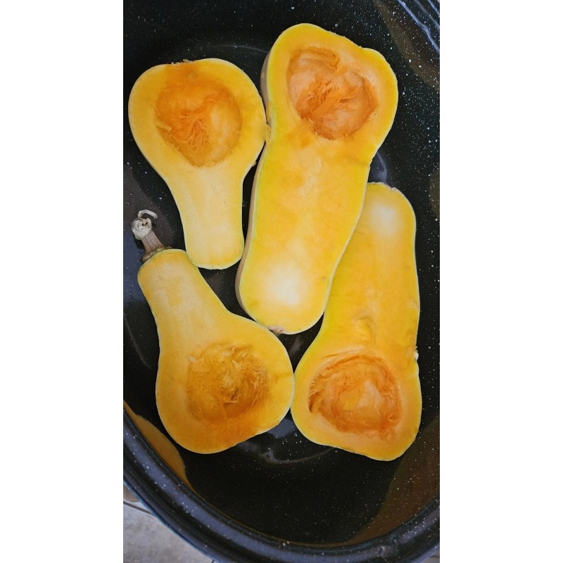 sunshine seed company Butternut Squash - Seeds - Organic -