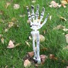 Halloween Skeleton Yard Decoration – 3-Piece Skull & Bone Arm