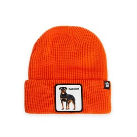 Goorin Bros. The Farm Unisex Acrylic Cuffed Beanie, Orange (Alpha Beta), One Size (Orange)