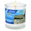 Yahrzeit Memorial Candles - 26 Hr Burn Time | Kosher
