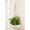Mkono Hanging Plant Bracket 6 inch Metal Wall Plant Hook