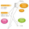 GUNZE Sabrina Stocking Smooth Zokki PS; 3 Pairs -