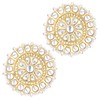 Aheli Gold Plated Kundan Studded Choker Necklace & Stud Earrings