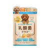 【Veterinarian W supervised】Perfect One Care Lactobacillus Plus Supplement for Dogs