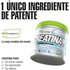 FSB Creatina Monohidratada Creapure 100 Pura Sin Sabor, Alta Pureza