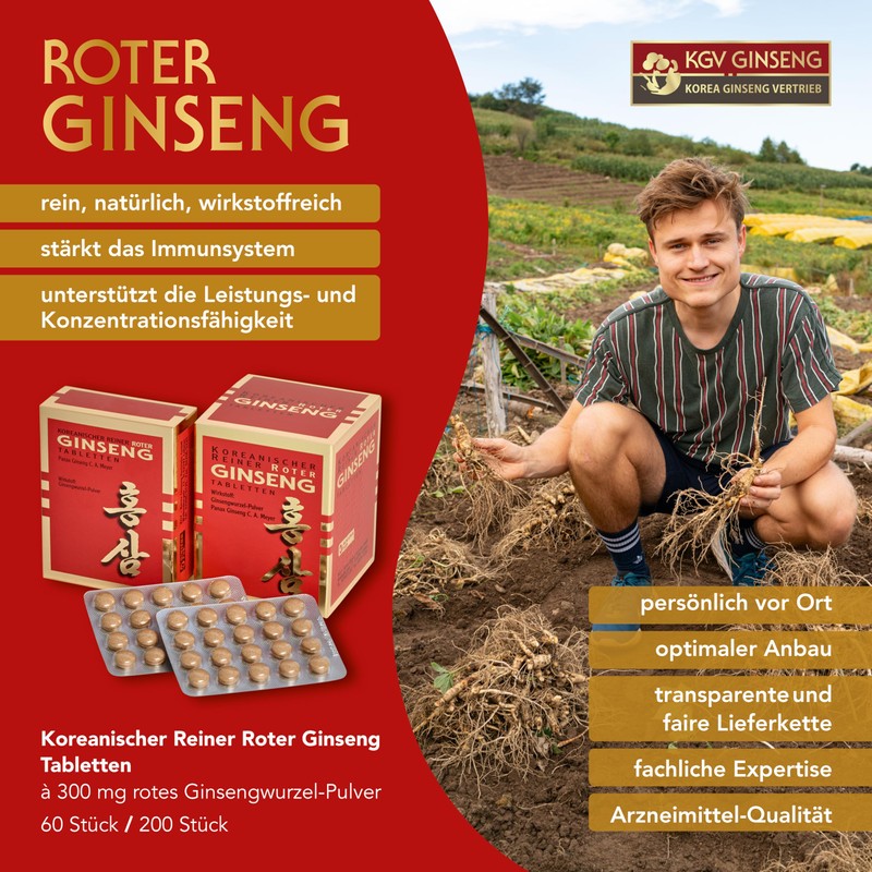 KGV GINSENG - KOREA GINSENG VERTRIEB KGV Koreanischer Reiner Roter