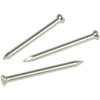 Merriway BH03128 (50 Pcs) Hardened Masonry Nail, 3.0 x 30mm