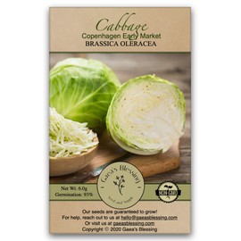 Gaea's Blessing Seeds - Cabbage Seeds 1000 Seeds - Copenhagen Market Early Cabbage - Non-GMO Heirloom 93% Germination Rate Net Wt. 6.0g