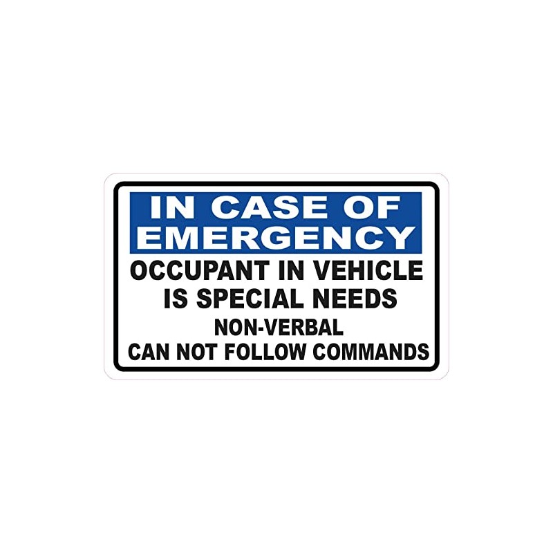 StickerTalk Occupant in Vehicle is Special Needs Vinyl Sticker, 5