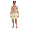 Quiksilver Men's Standard Swimwear Regular Fit Stretchable Comfort Liner Swim