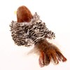 Vealind GiGwi Electronic Pet Toy for Dogs and Cats, Lifelike