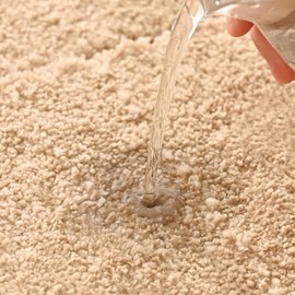 Lifup Bathroom Rugs Oval Non-Slip Shaggy Bath Mats, Soft and Absorbent Microfiber Bath Carpet for Bathroom Floor Brown 16" x 24"