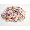 3 lbs (About One Gallon) Blue/White/Purple Coquina Shells Seashells (About