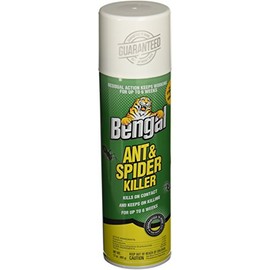 BENGAL CHEMICAL Ant and Spider Killer, 17 oz