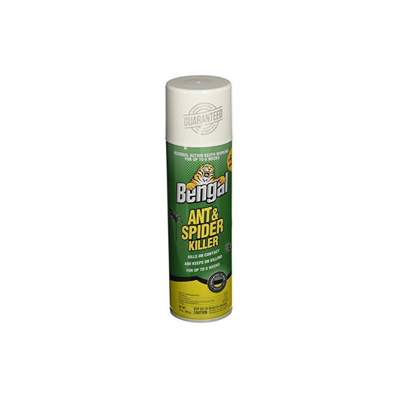 BENGAL CHEMICAL Ant and Spider Killer, 17 oz