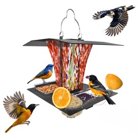 LUJII 6-in-1 Solar Bird Feeder with RGB String Lights, Hand Blown Glass, 2 Removable Trays for Bird Seed, Suet Ball, Mealworm, Oriole Orange Fruit, Jelly or Water, Red