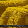 GC GAVENO CAVAILIA Teddy Fleece Plain King Size Fitted Sheets,