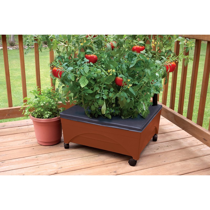 Emsco Group Bountiful Harvest Raised Bed Grow Box – Self