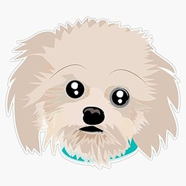 Magnet Hand Illustrated Maltese Puppy Magnet Bumper Sticker Car Magnet Flexible Reuseable Magnetic Vinyl 5"