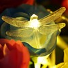 Dragonfly String Lights for Patio, Twinkle Fairy Lights for Indoor