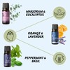Folkulture Sleep Essential Oil Set for Diffusers | Aromatherapy Essential