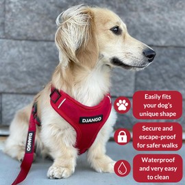 DJANGO Adventure Dog Harness - Stylish and Durable Medium Dog Harness for Outdoor Adventures and Everyday Wear - Red Neoprene Adjustable Harness for Dogs with Reflective Piping, Solid Brass D-Ring