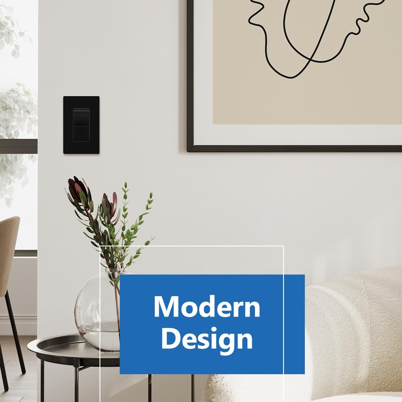 LIDER Balck Minimalist Decorator Switch, Frameless Paddle Light Switch, On/Off