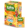 LOYD - Hot'N Cold Apple & Pineapple - Pack of